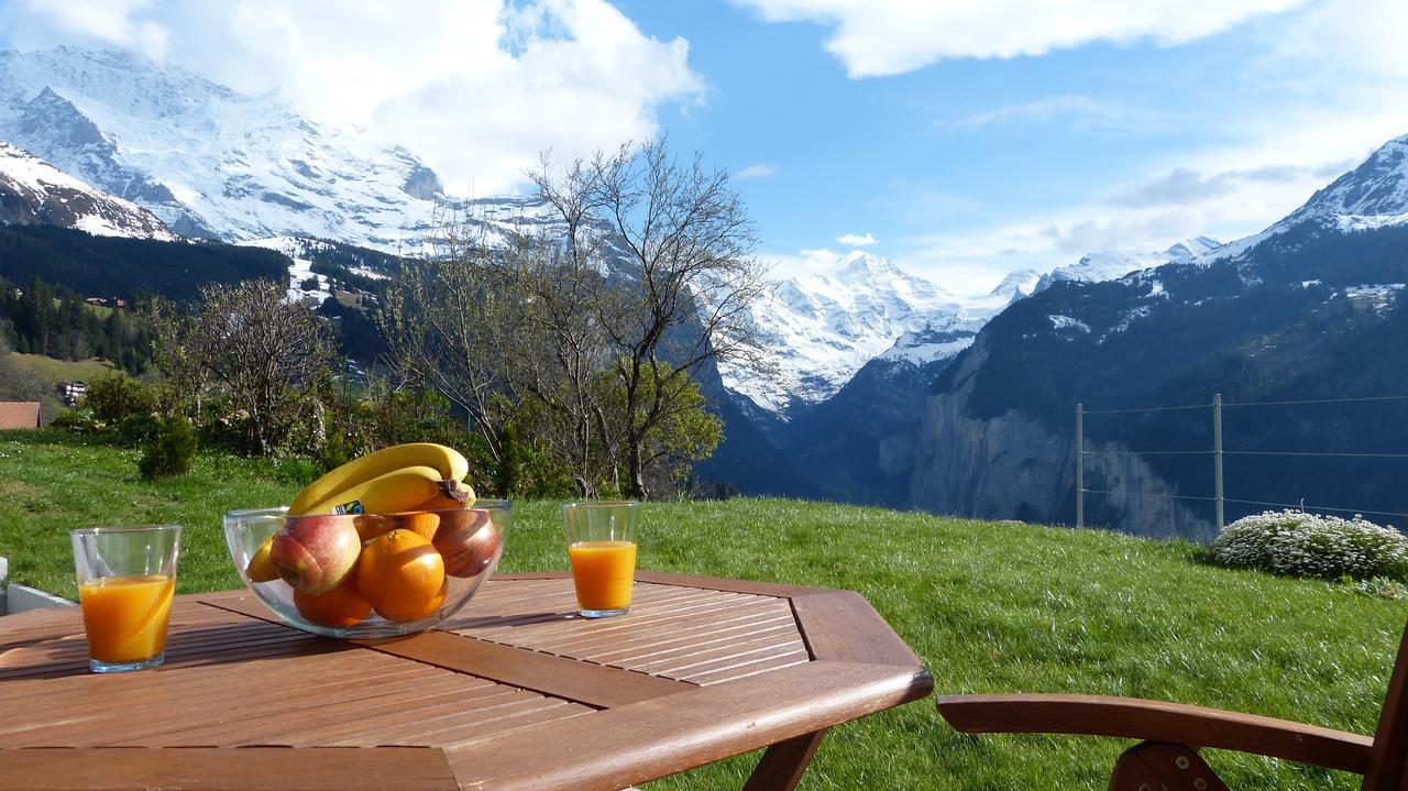 Chalet Canadian Corner Βένγκεν Εξωτερικό φωτογραφία